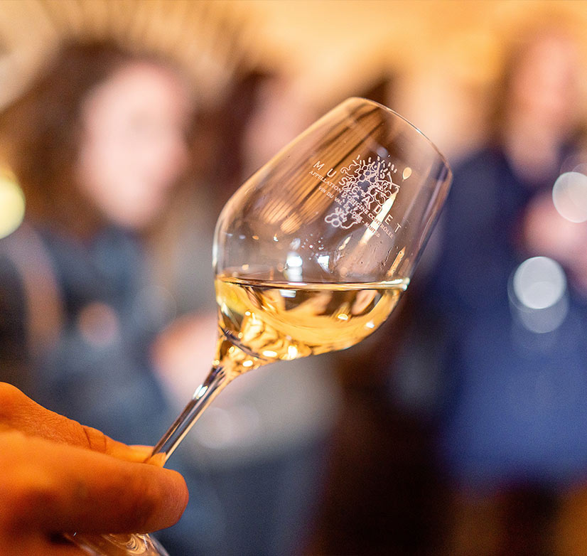 dégustation de muscadet à Nantes