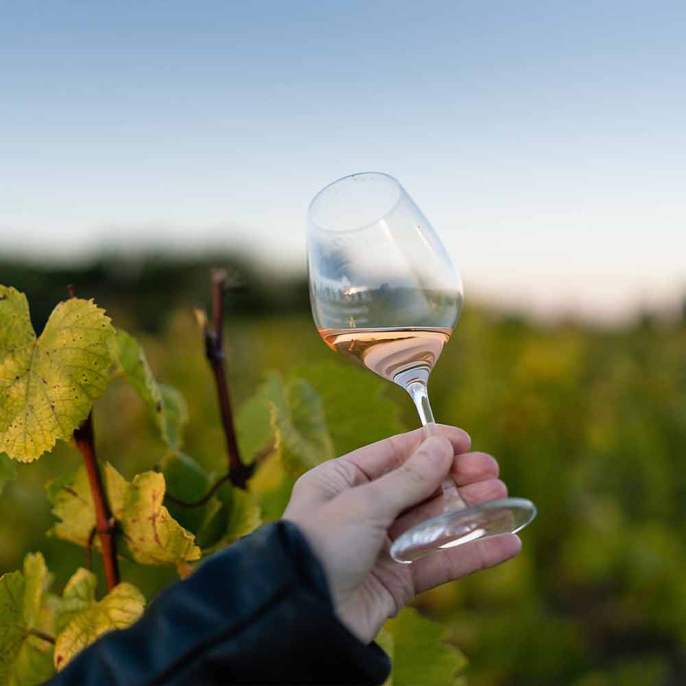 dégustation en amoureux vignoble nantais